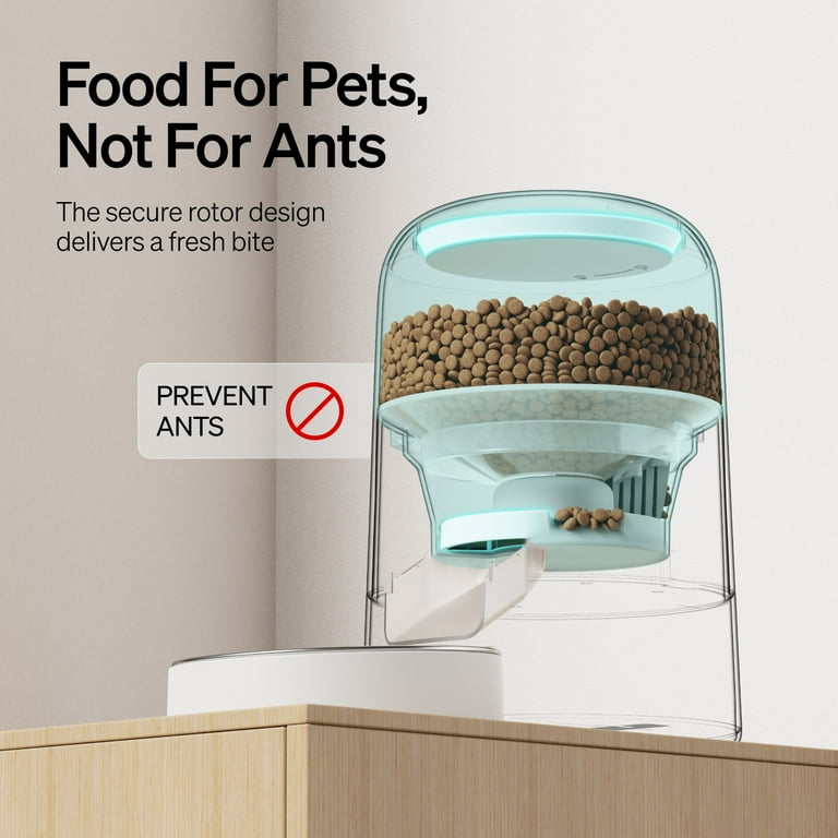 Alimentador automático para mascotas 2L programable con temporizador