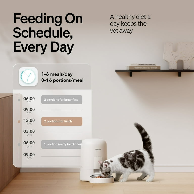 Alimentador automático para mascotas 2L programable con temporizador