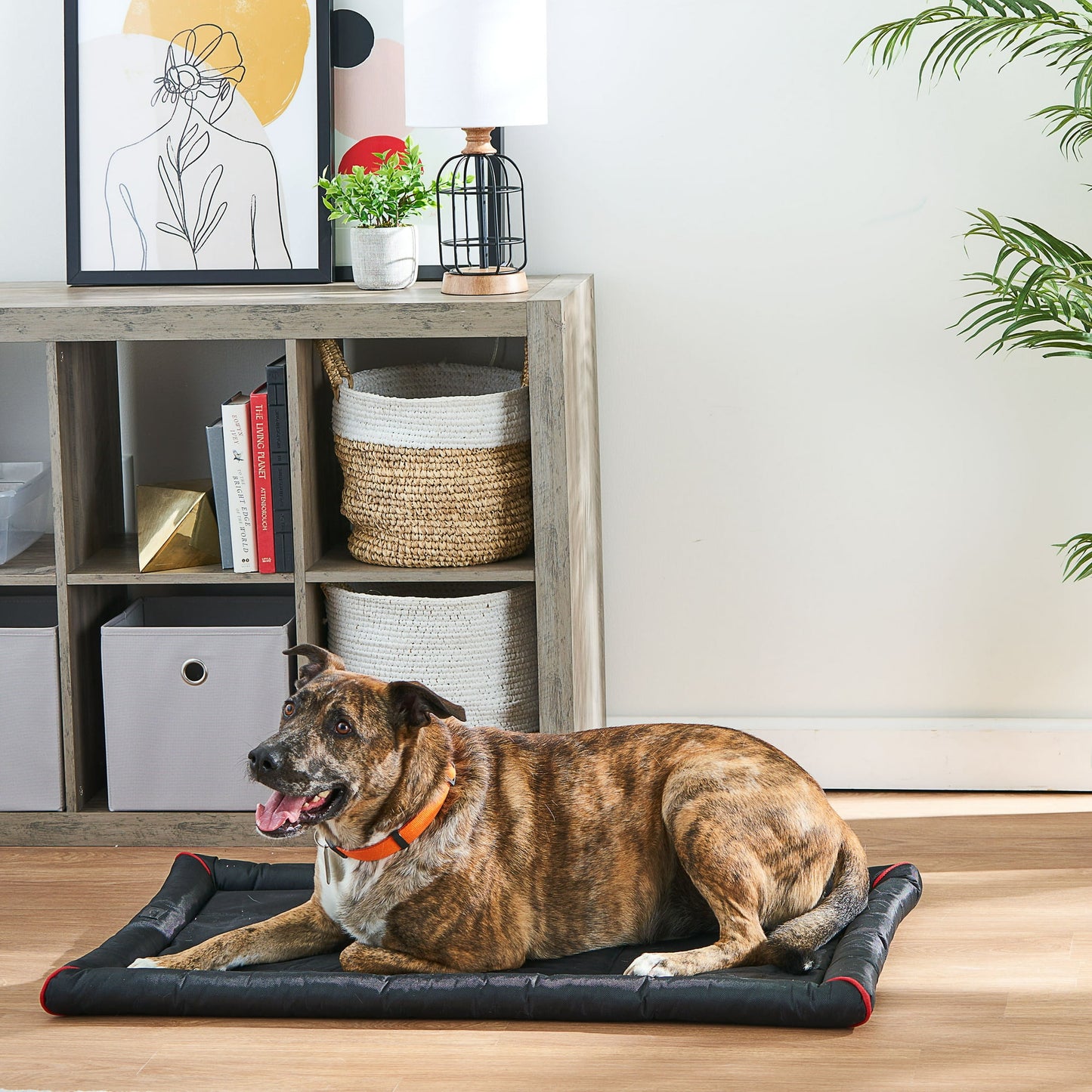 Tapete para jaula impermeable para mascotas 60 cm acolchado